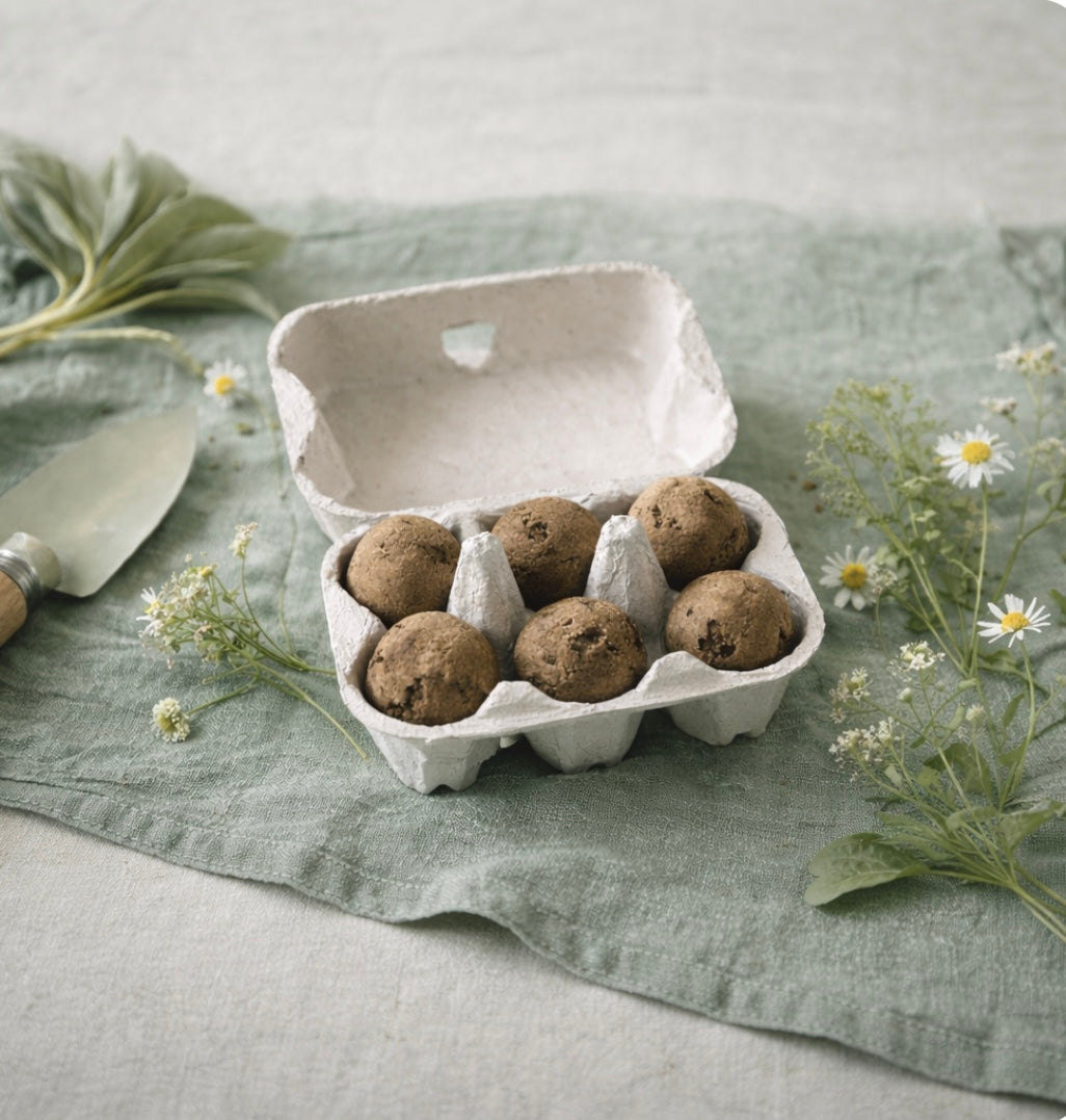 „Mutig wachsen“-Samenbomben mit bunter Blumenwiesen-Mischung
